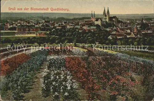 Quedlinburg Die Blumenstadt mit Schloss Kat. Quedlinburg