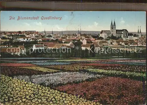 Quedlinburg Die Blumenstadt mit Schloss Reichsgartenschau 1939 Kat. Quedlinburg