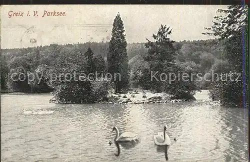 Greiz Thueringen Parksee Schwan Kat. Greiz