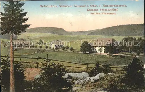 Schollach Eisenbach (Hochschwarzwald) Stationen Neustadt Hammereisenbach Kurhaus Schneckenhof  Kat. Eisenbach (Hochschwarzwald)