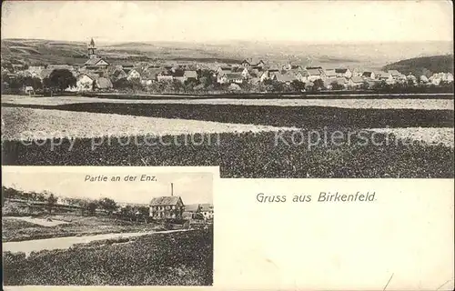 Birkenfeld Wuerttemberg Partie an der Enz / Birkenfeld /Enzkreis LKR