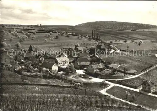 Hach Gasthaus Zaehringer Hof / Auggen /Breisgau-Hochschwarzwald LKR