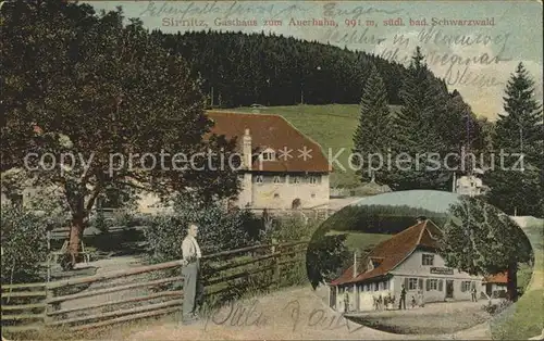 Sirnitz Gaestehaus zum Auerhahn / Badenweiler /Breisgau-Hochschwarzwald LKR