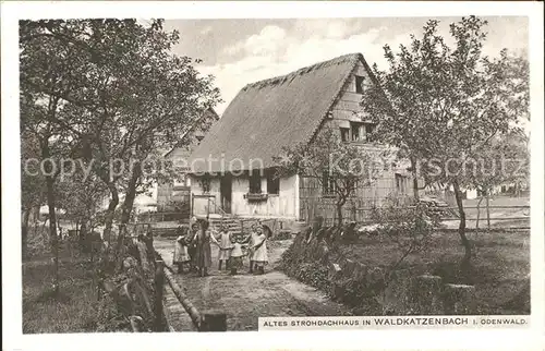 Waldkatzenbach Altes Strohdachhaus  / Waldbrunn /Neckar-Odenwald-Kreis LKR