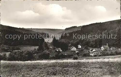 Fohlenplacken  Kat. Holzminden