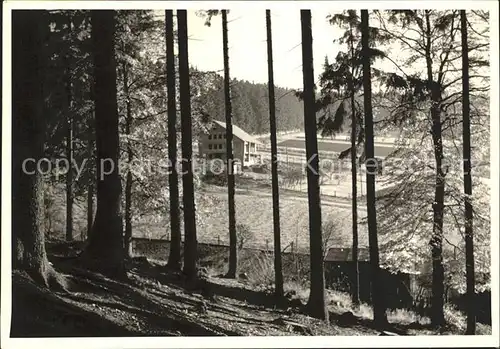 Fohlenplacken Fremdenpension Ruebezahl Kat. Holzminden