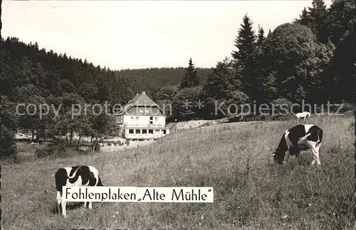 Fohlenplacken Hotel Alte Muehle  Kat. Holzminden