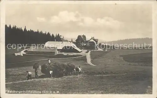 Feldberg Schwarzwald Feldbergerhof Kat. Feldberg (Schwarzwald)