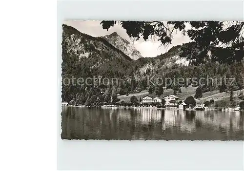 Walchensee Herzogstand Kat. Kochel a.See