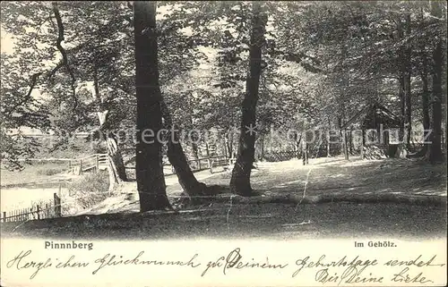 Pinneberg Gehoelz Bahnpost  Kat. Pinneberg