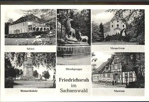 Friedrichsruh Aumuehle Schloss Hirschgruppe Bismacksaeule Mausoleum Museum  Kat. Aumuehle