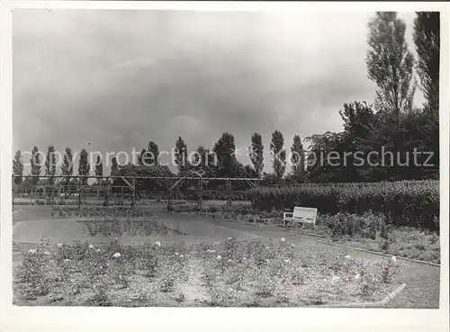 Pinneberg Rosengarten Kat. Pinneberg