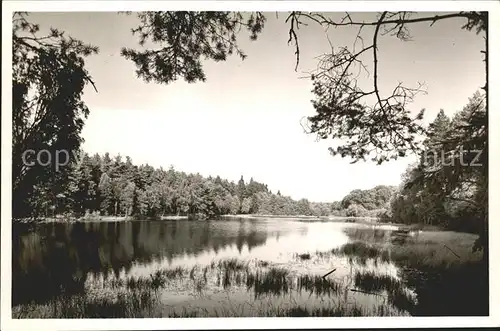 Amelinghausen Lueneburger Heide  Kat. Amelinghausen