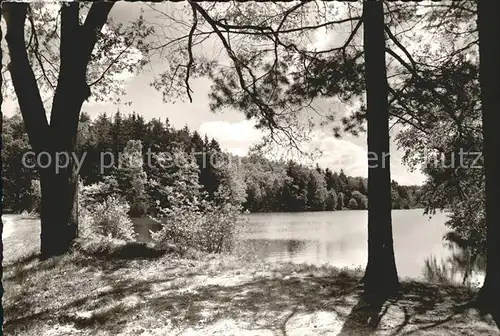 Amelinghausen Lueneburger Heide Teich Kat. Amelinghausen