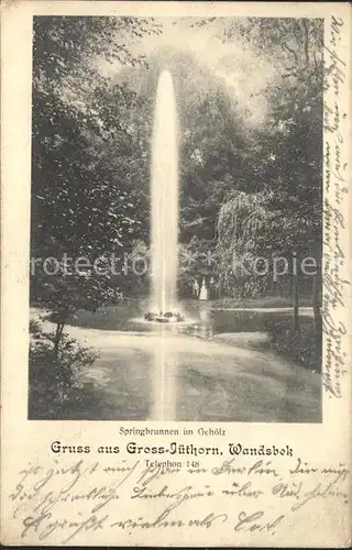 Wandsbek Gross  Juethorn Springbrunnen im Gehoelz Kat. Hamburg