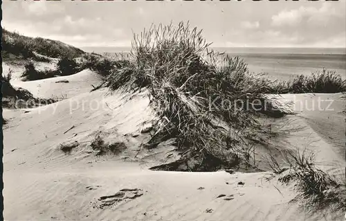 Wenningstedt Sylt Duenen Kat. Wenningstedt Braderup (Sylt)