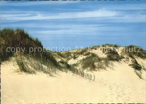 Insel Sylt In den Duenen Kat. Westerland