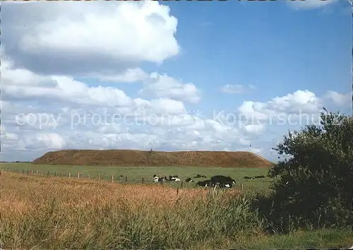 Insel Foehr Lembecksburg Borgsum Kat. Wyk auf Foehr