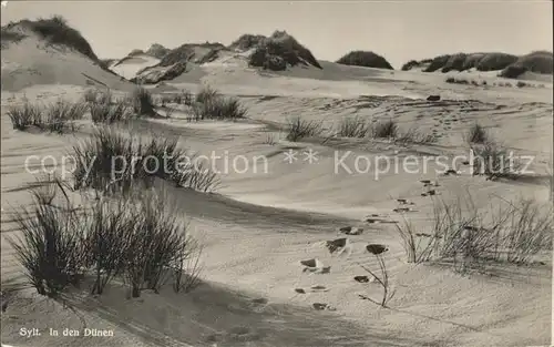 Insel Sylt In den Duenen Kat. Westerland