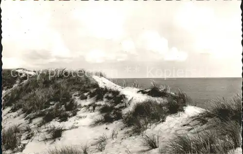 Amrum Duenen Meer Kat. Nebel