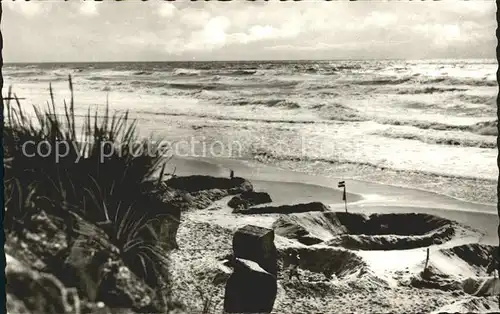 Kampen Sylt Duene Gras Meer Kat. Kampen (Sylt)