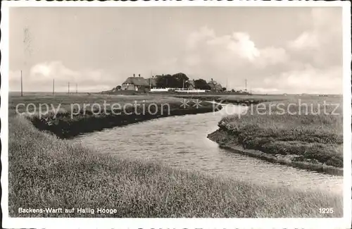 Hallig Hooge Backens  Warft Kat. Hooge