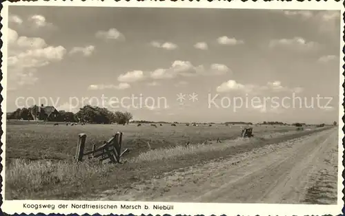 Niebuell Koogsweg Nordfriesischen Marsch Kat. Niebuell