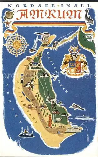 Amrum Insel Amrum 1950 Karte Kat. Nebel