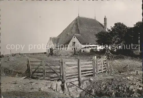 Husum Nordfriesland Gasthaus Hamburg / Husum /Nordfriesland LKR