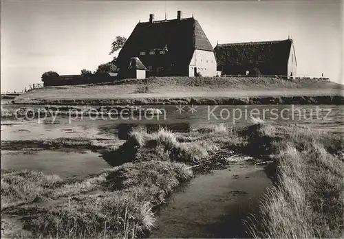 Hallig Hooge Kirchwarft Kat. Hooge