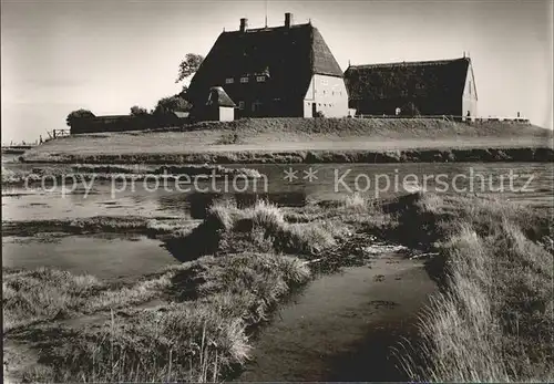 Hallig Hooge Kirchwarft Kat. Hooge