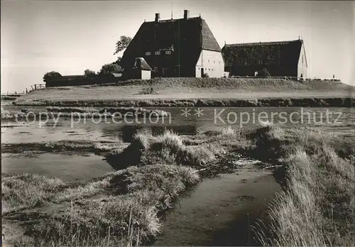 Hallig Hooge Kirchwarft Kat. Hooge