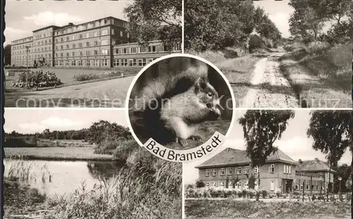 Bad Bramstedt Kurhaus Park Teich Eichhoernchen Kat. Bad Bramstedt