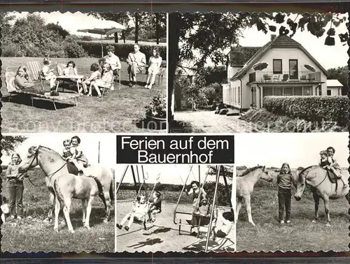 Hollmuehle Uelsby Ferienhof Treholz Liegewiese Ponyreiten Spielplatz Kat. uelsby