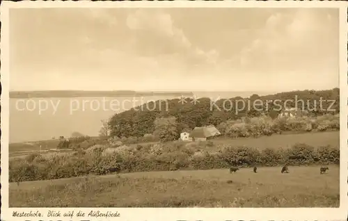 Westerholz Langballig Blick auf Aussenfoerde Kat. Westerholz