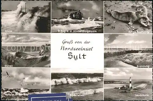 Sylt Hindenburgdamm Seehunde Leuchtturm Kat. Sylt Ost