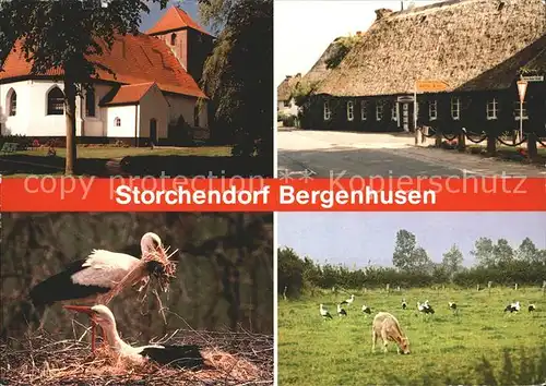 Bergenhausen Hunsrueck Storchendorf Interessengemeinschaft Rettet den Weissen Storch Kat. Bergenhausen