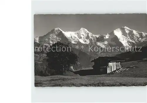 Beatenberg Amisbuehl mit Eiger Moench Jungfrau Kat. Beatenberg