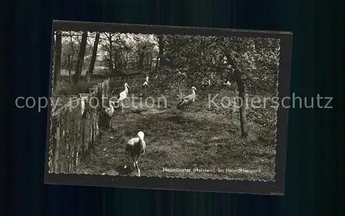 Neumuenster Schleswig Holstein Heimattierpark Kat. Neumuenster