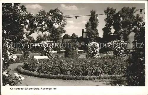 Eckernfoerde Rosengarten Kat. Eckernfoerde