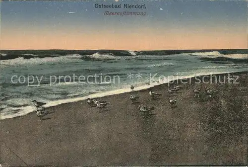 Niendorf Ostseebad Strand Moewen Kat. Timmendorfer Strand