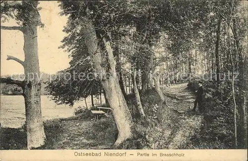 Niendorf Ostseebad Partie im Braaschholz Kat. Timmendorfer Strand