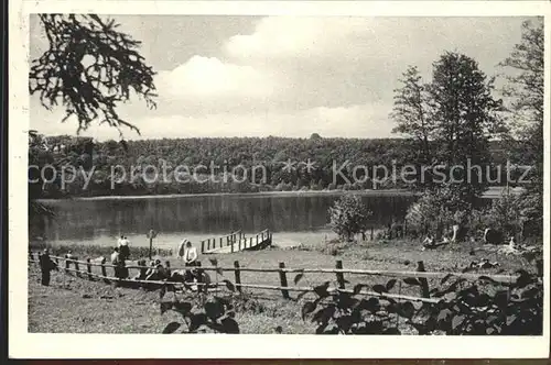 Ratzeburg Gasthaus Farchauer Muehle Kat. Ratzeburg