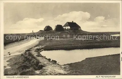 Hallig Langeness Alt Peterswarf Kat. Langeness