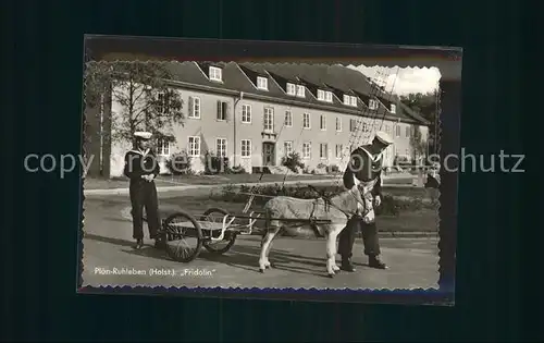 Ruhleben Ploen Marinesoldaten mit Esel Fridolin Kat. Ploen