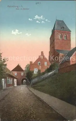 Ratzeburg Dom mit Steintor Kat. Ratzeburg