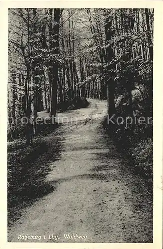 Ratzeburg Waldweg Kat. Ratzeburg