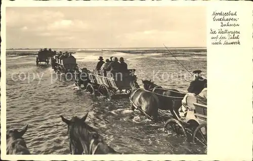 Duhnen Nordsee Wattwagen Kat. Cuxhaven