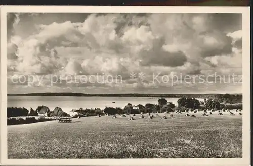 Sierksdorf  Kat. Sierksdorf