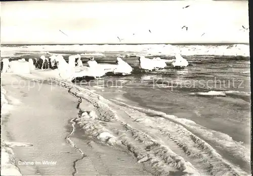 Dahme Ostseebad im Winter Kat. Dahme